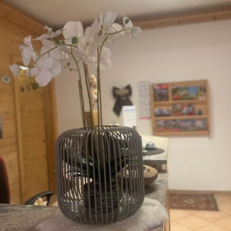 Garni Villa Elsa Pozza di Fassa Extérieur photo